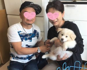 Wan Wan元気 ゴスケ 月 ベンジー 虎力 ｎｐｏ法人青い鳥動物愛護会 山口県防府市 ふるさと納税 指定団体